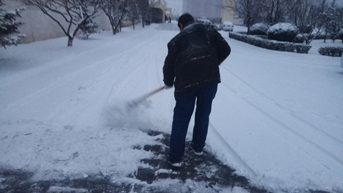 【好人好事】首降瑞雪 天禧员工除雪忙