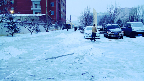 【好人好事】首降瑞雪 天禧员工除雪忙